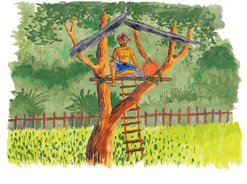 හේනක තිබෙන පැලක්.